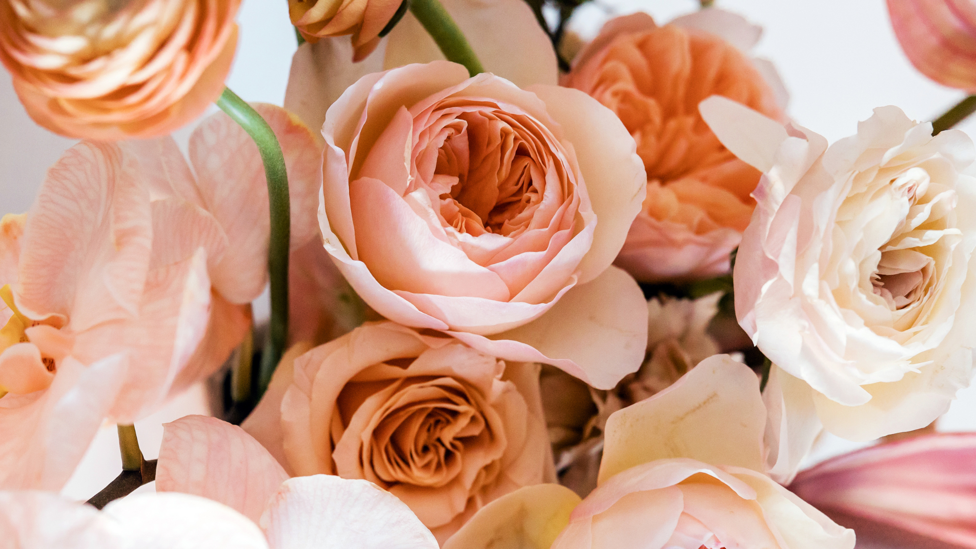 How to Choose the Right Vase For Your Floral Arrangement blog post. Scene of light pink, peach, and white ranunculus roses.
