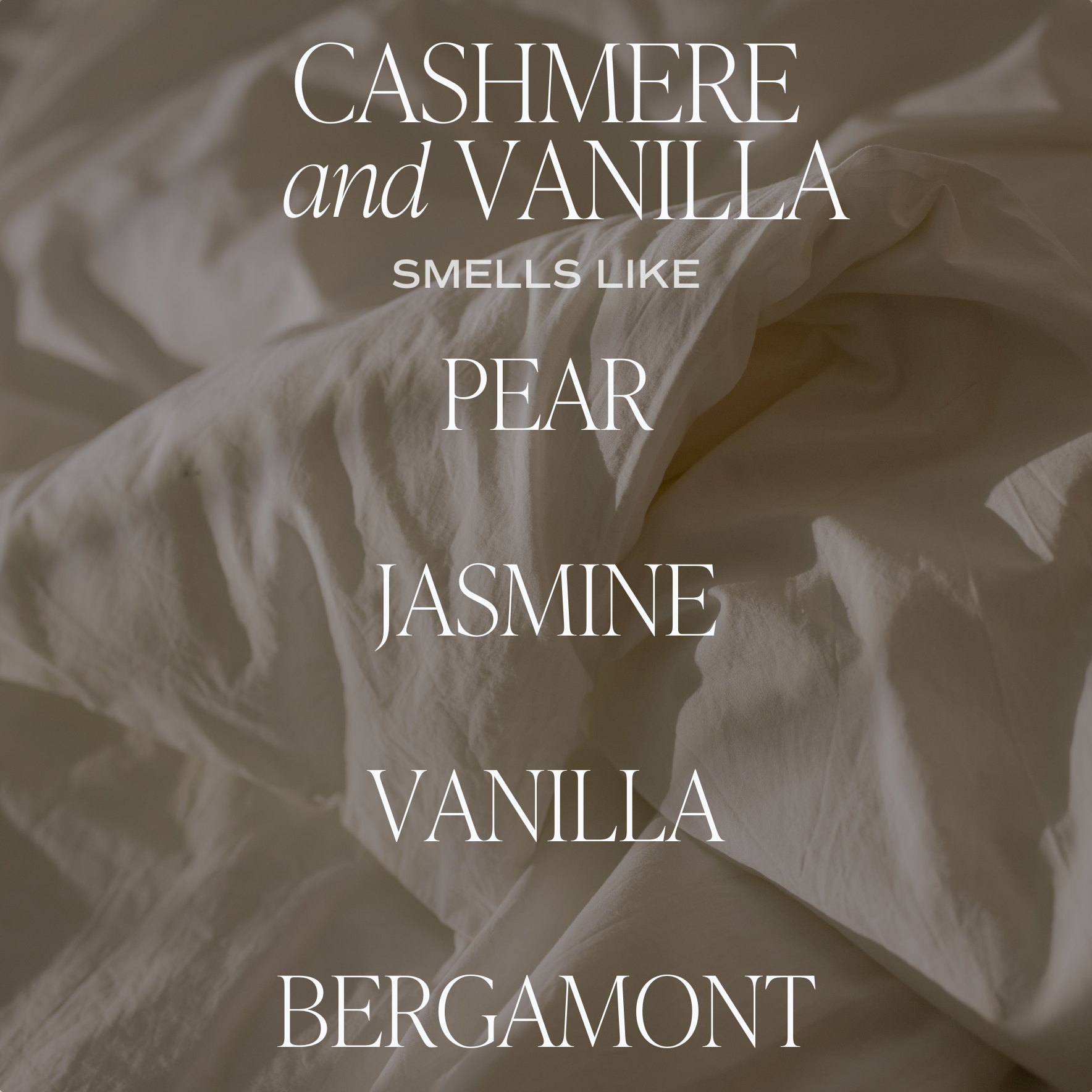 Cashmere + Vanilla Reed Diffuser Scent Notes