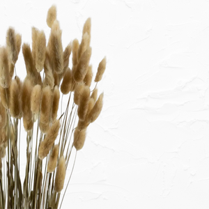 Bunny Tails in Natural