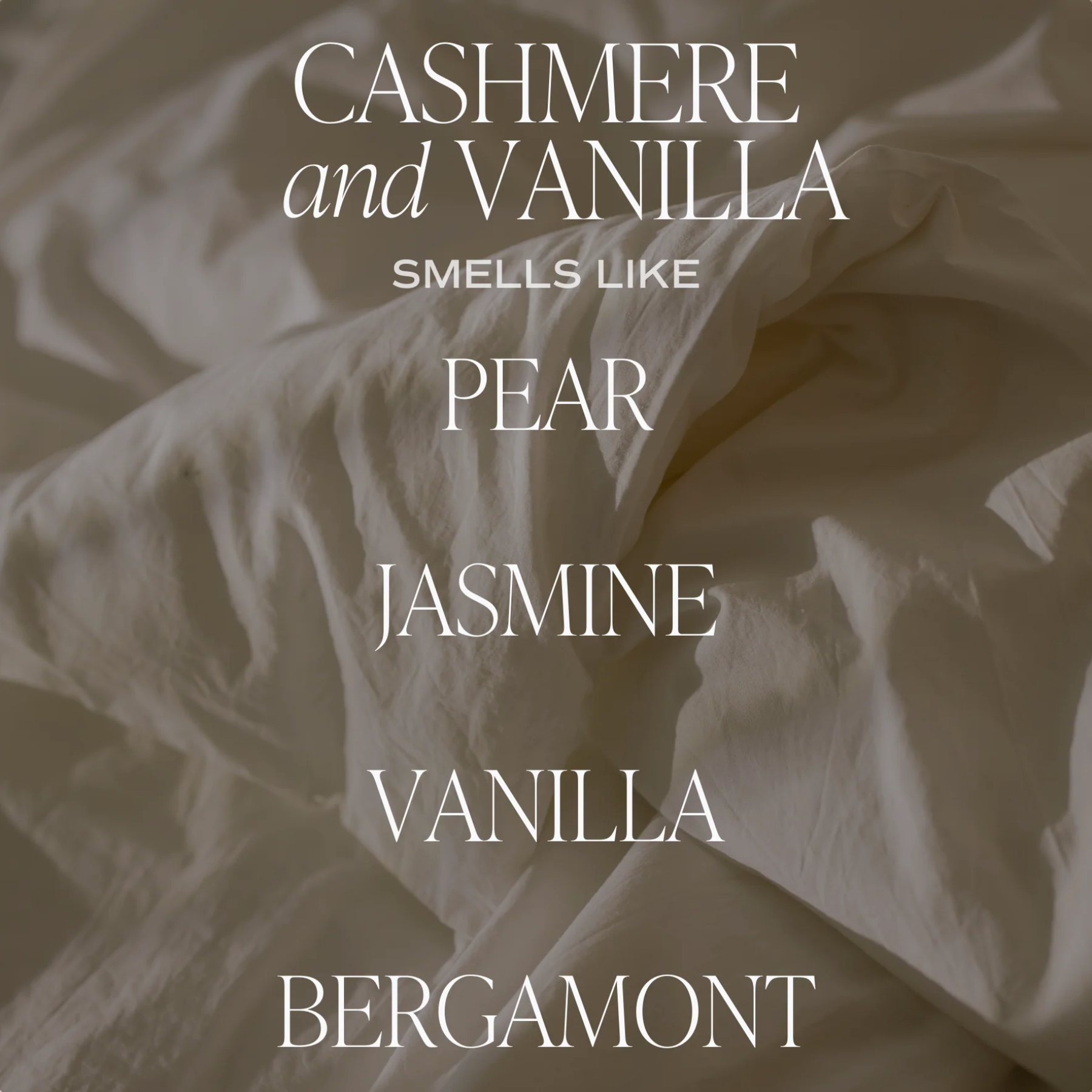 Cashmere + Vanilla Scent Notes