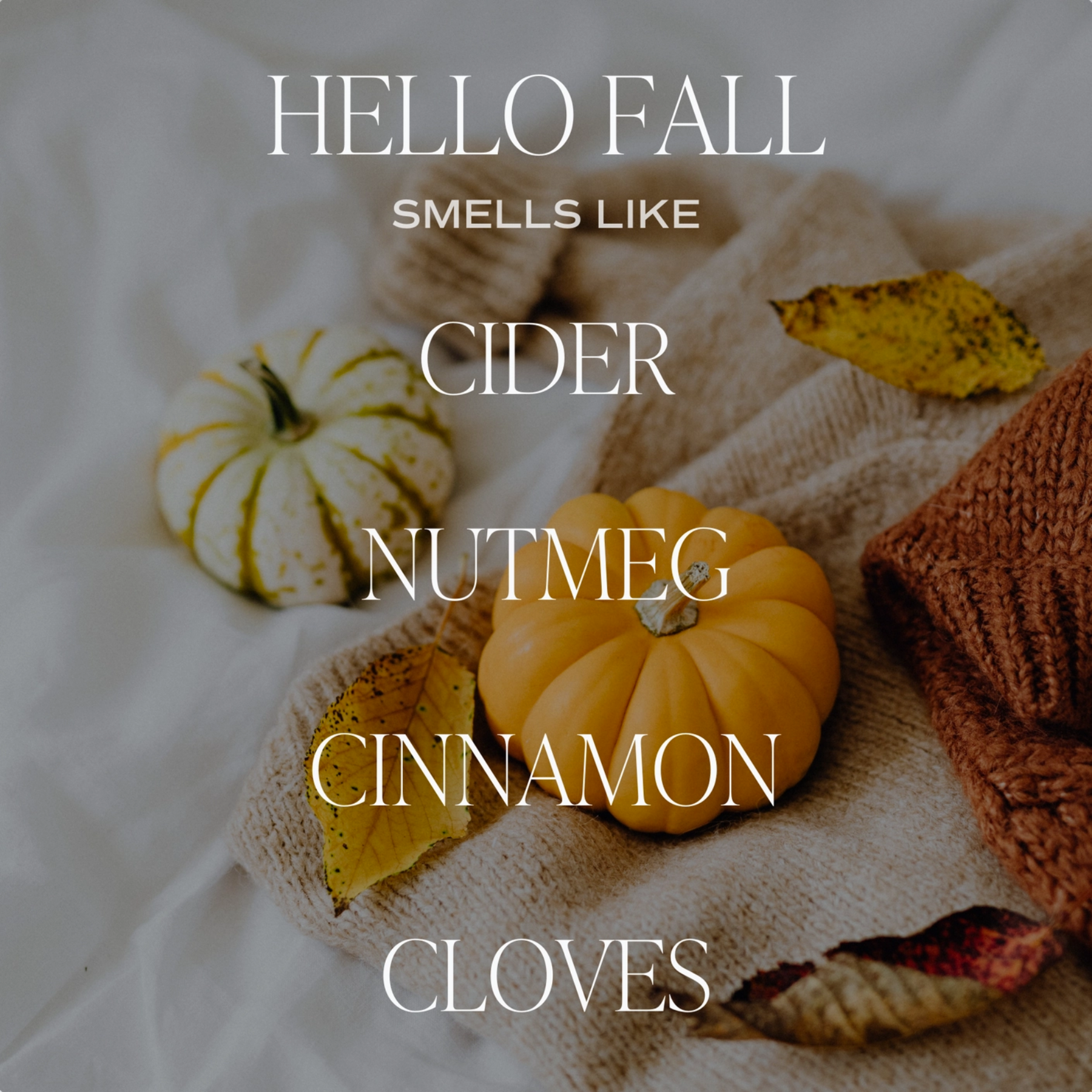 Hello Fall Scent Notes