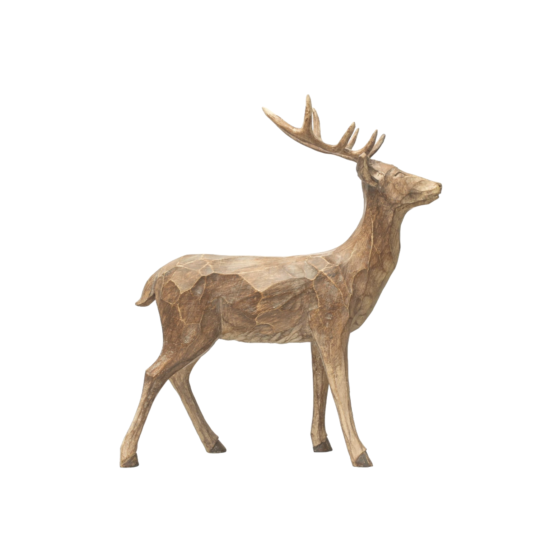 Standing Deer with Head Straight