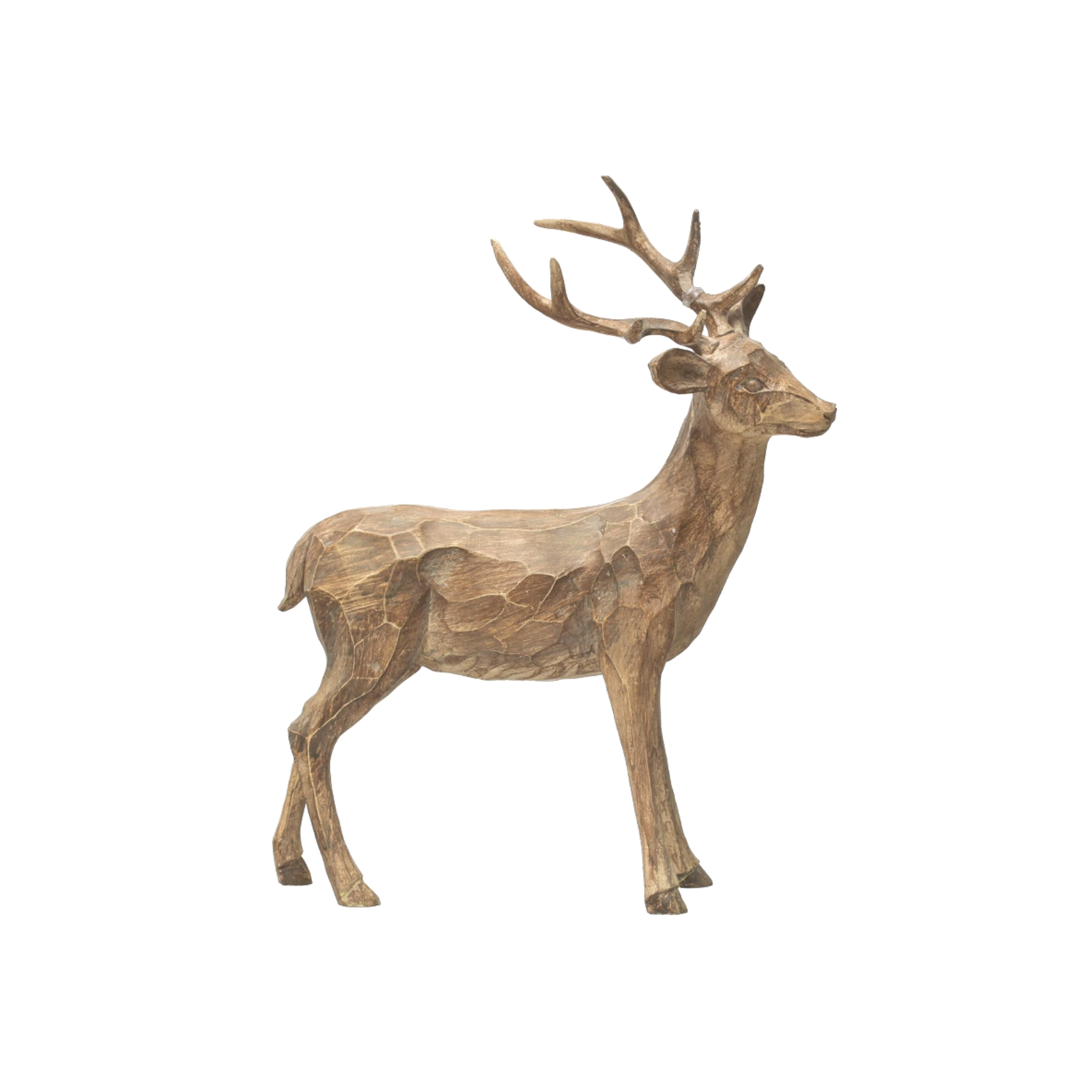 Standing Deer with Head Tilted