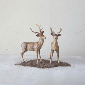 Standing Deer