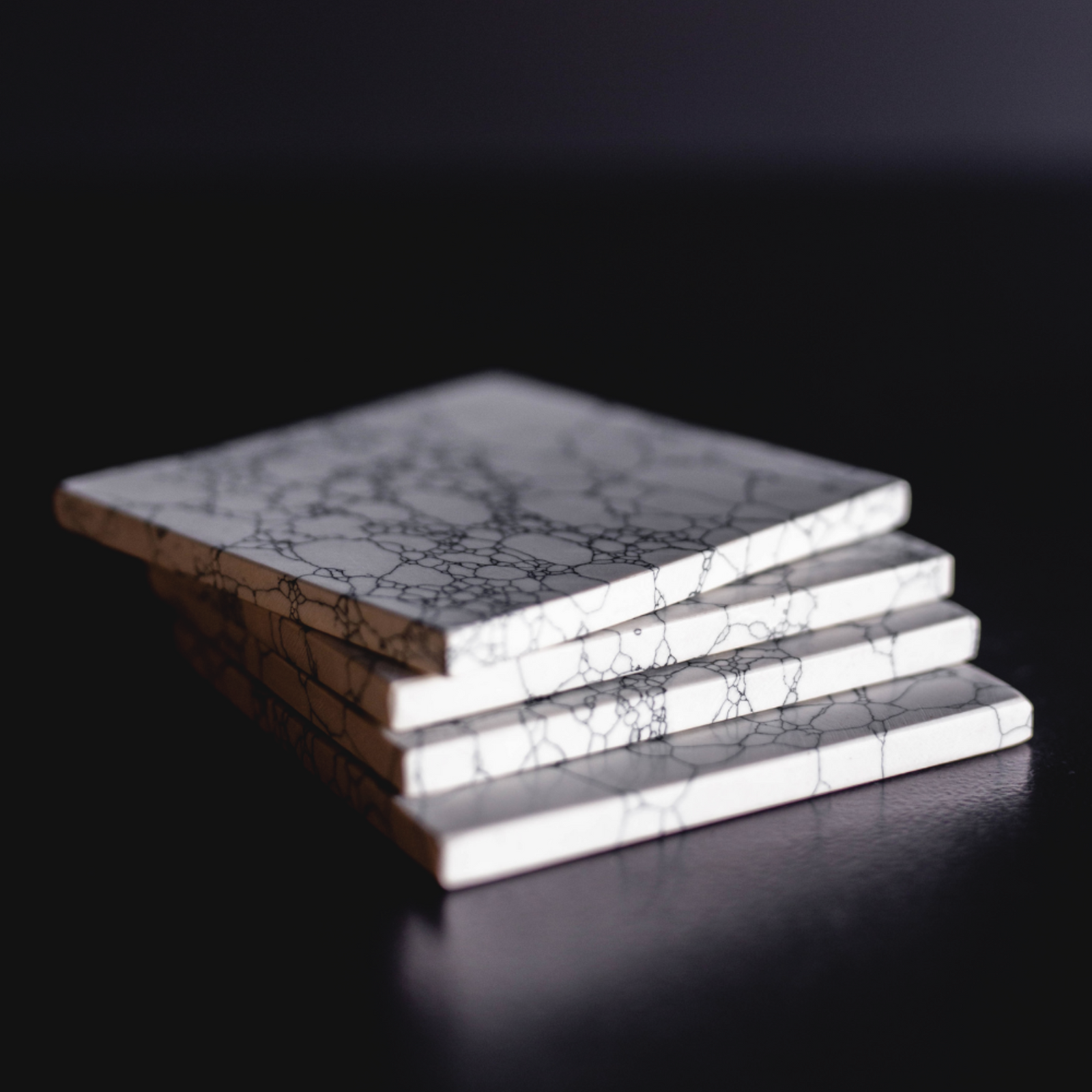 Stone Coasters (set of 4)