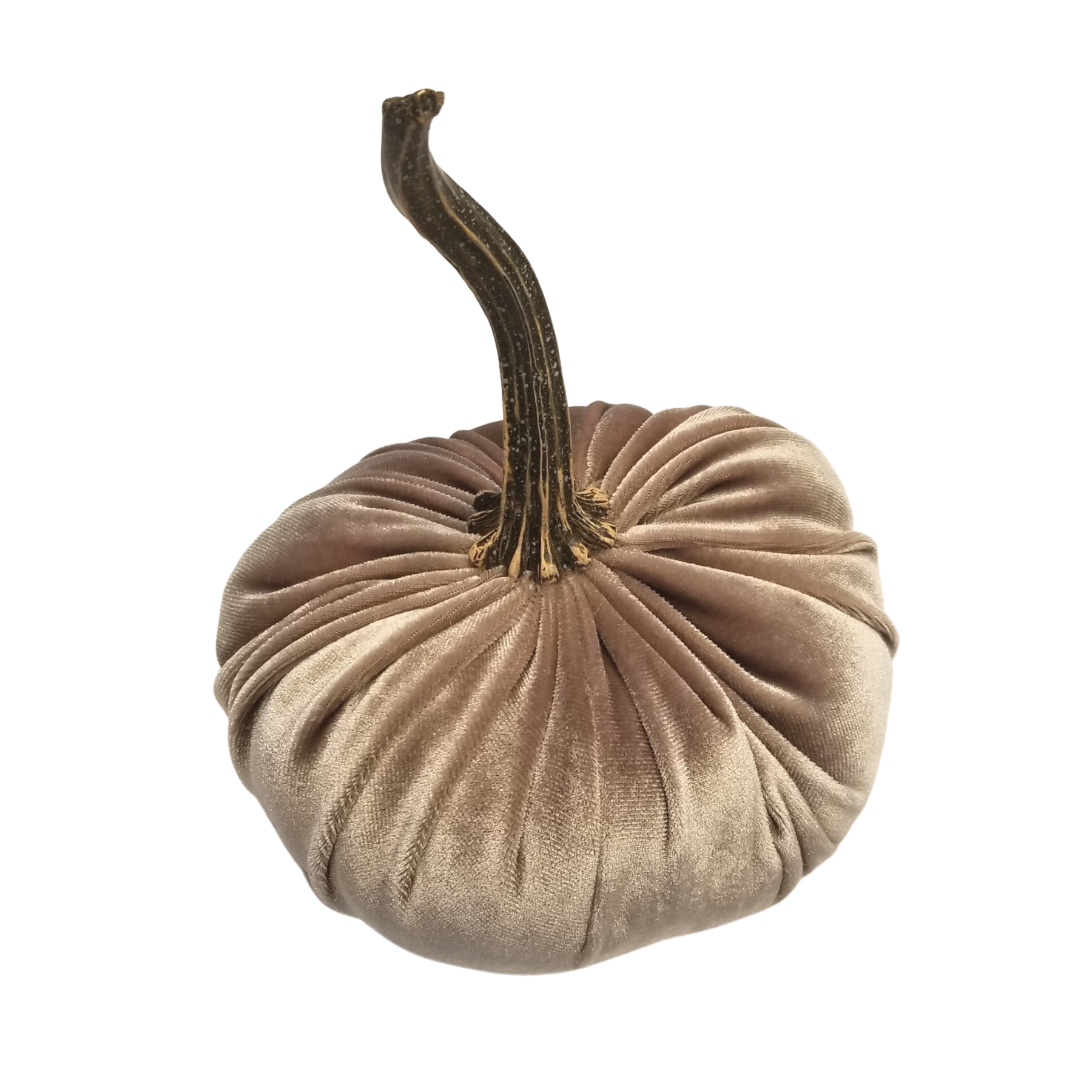 Velvet Pumpkins