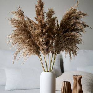 Pampas Grass in Brown