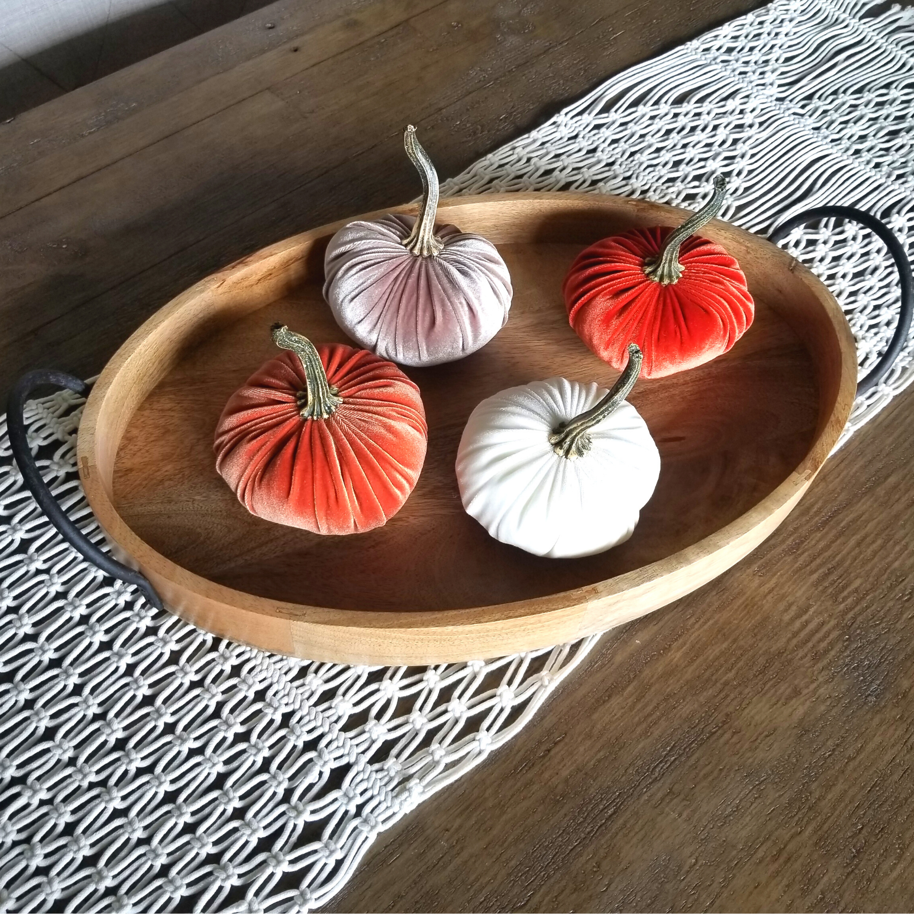 Velvet Pumpkins