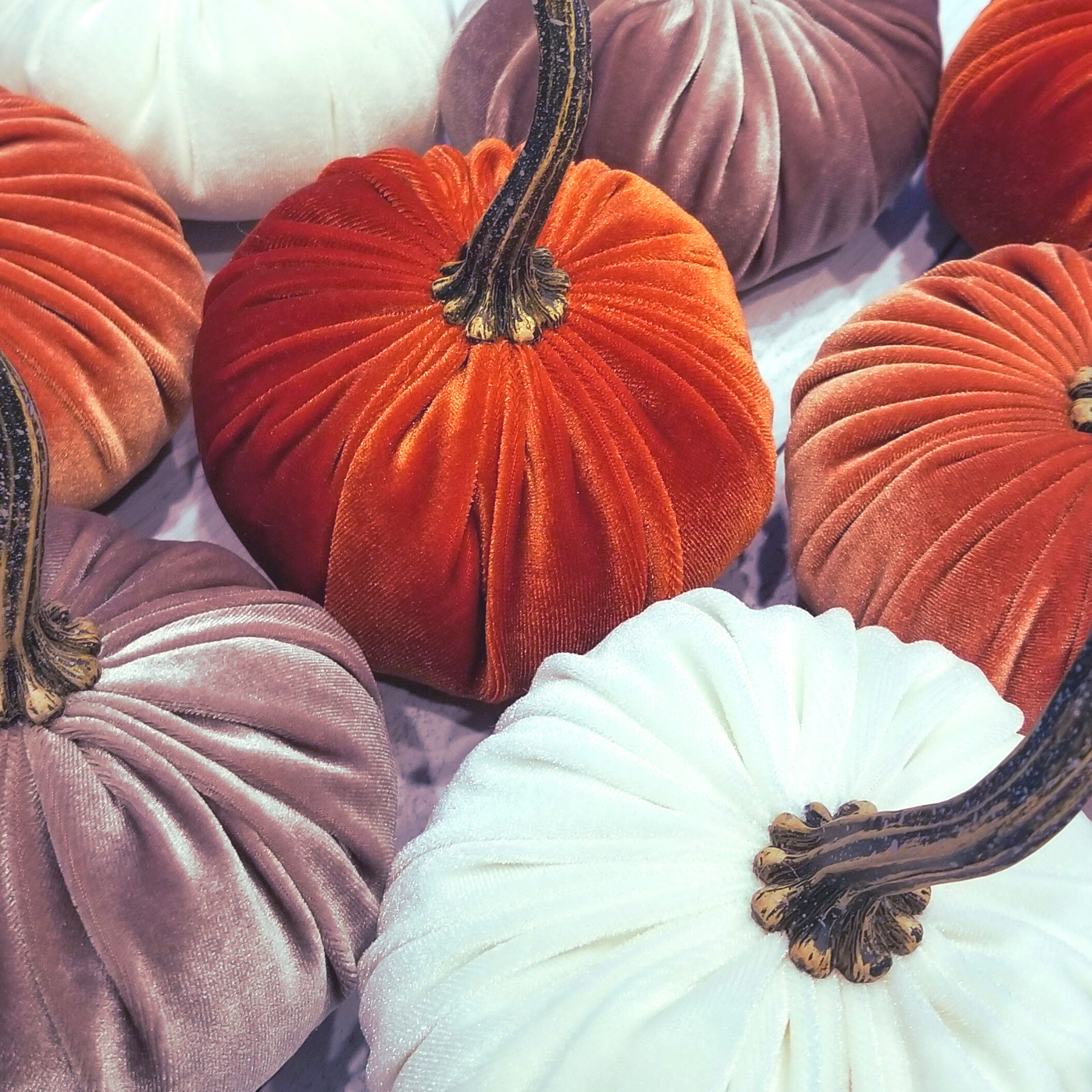 Velvet Pumpkins