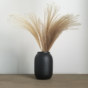 Black Vase