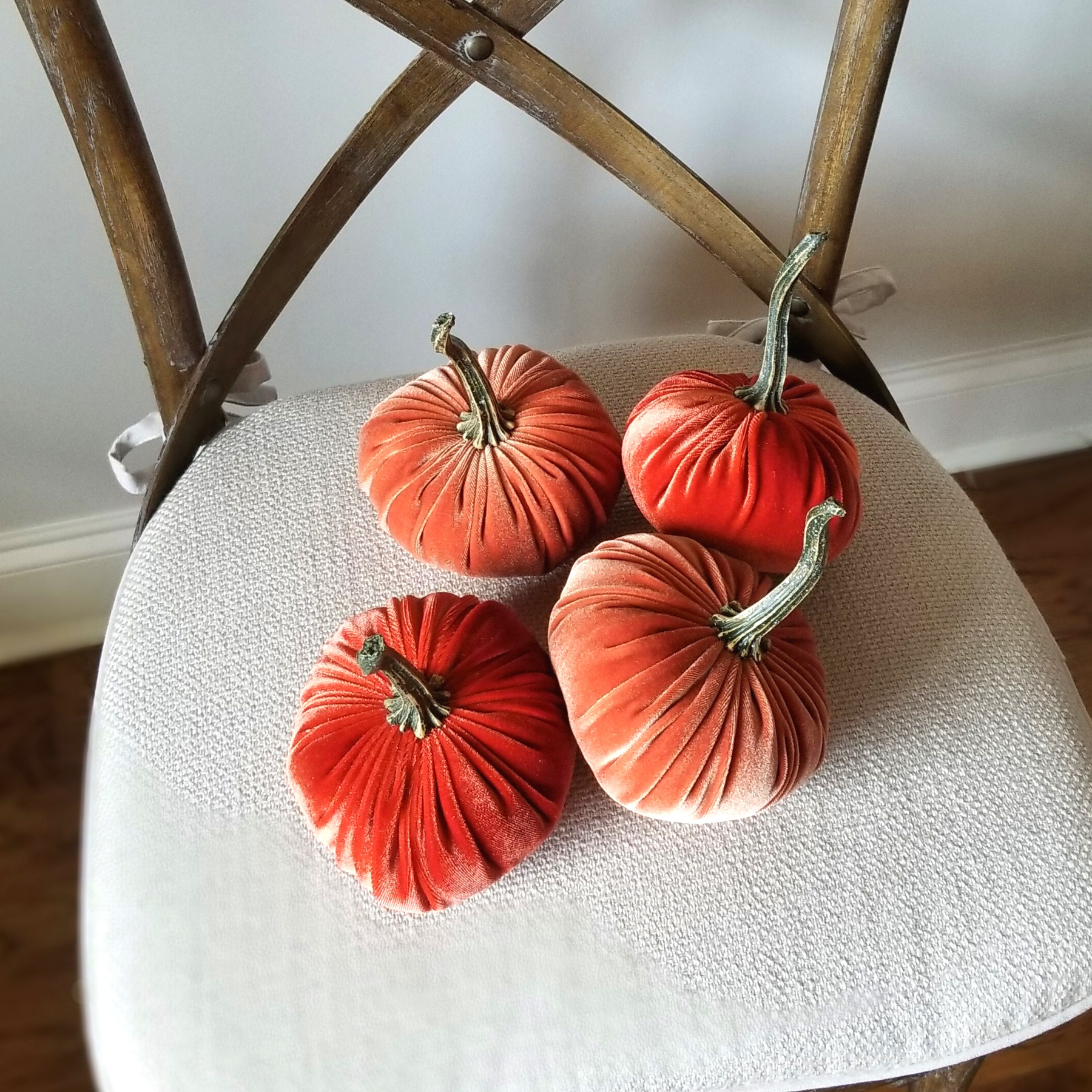 Velvet Pumpkins