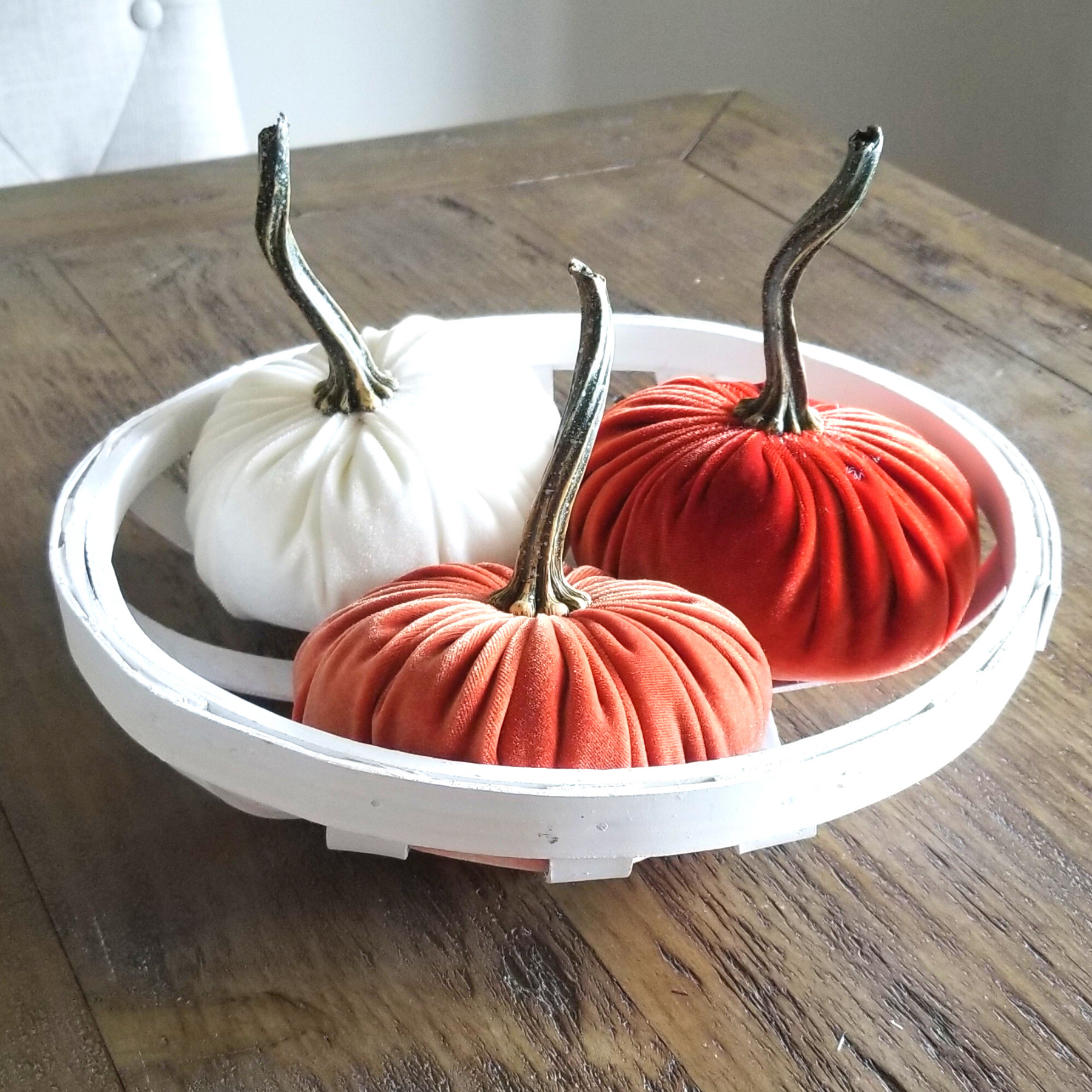 Velvet Pumpkins