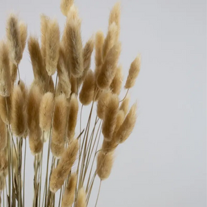 Bunny Tails in Natural