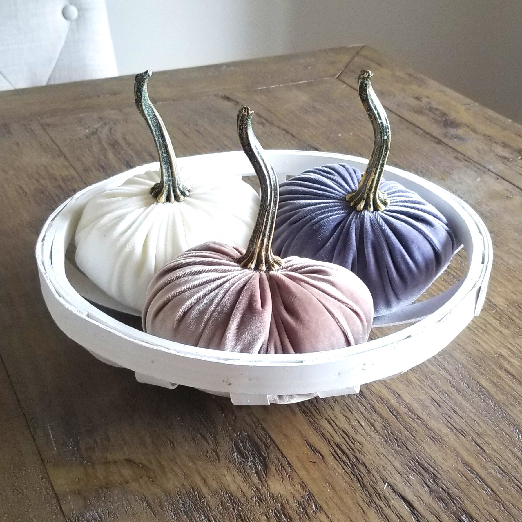 Velvet Pumpkins