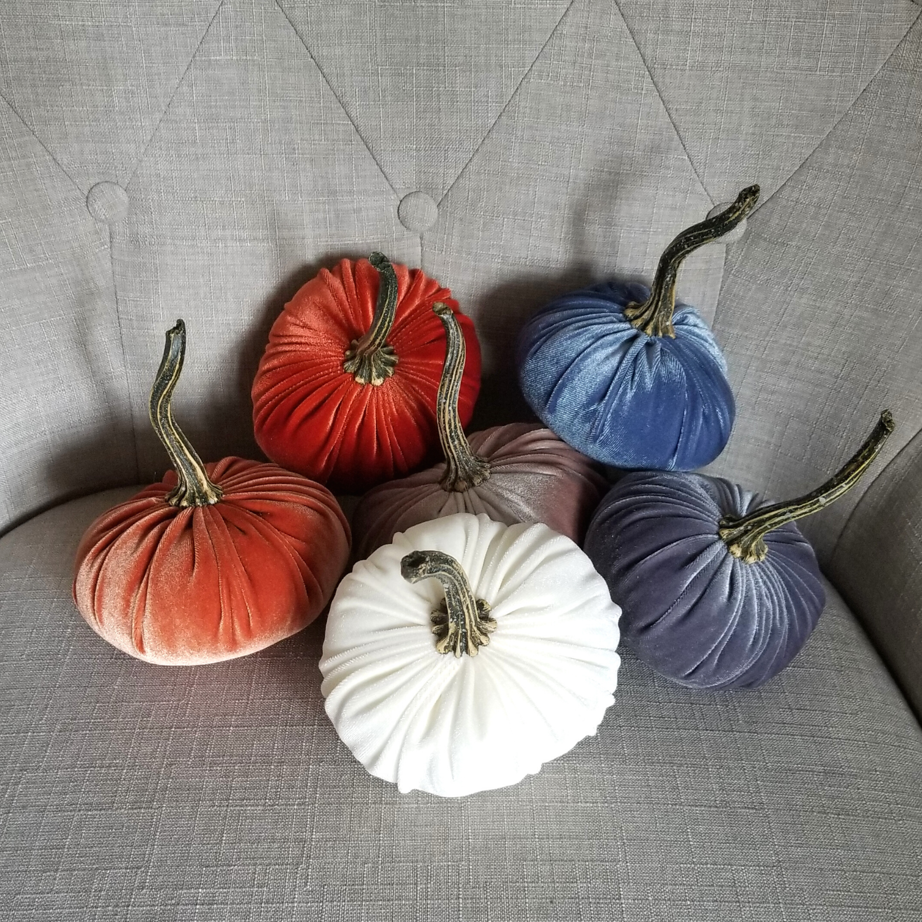 Velvet Pumpkins