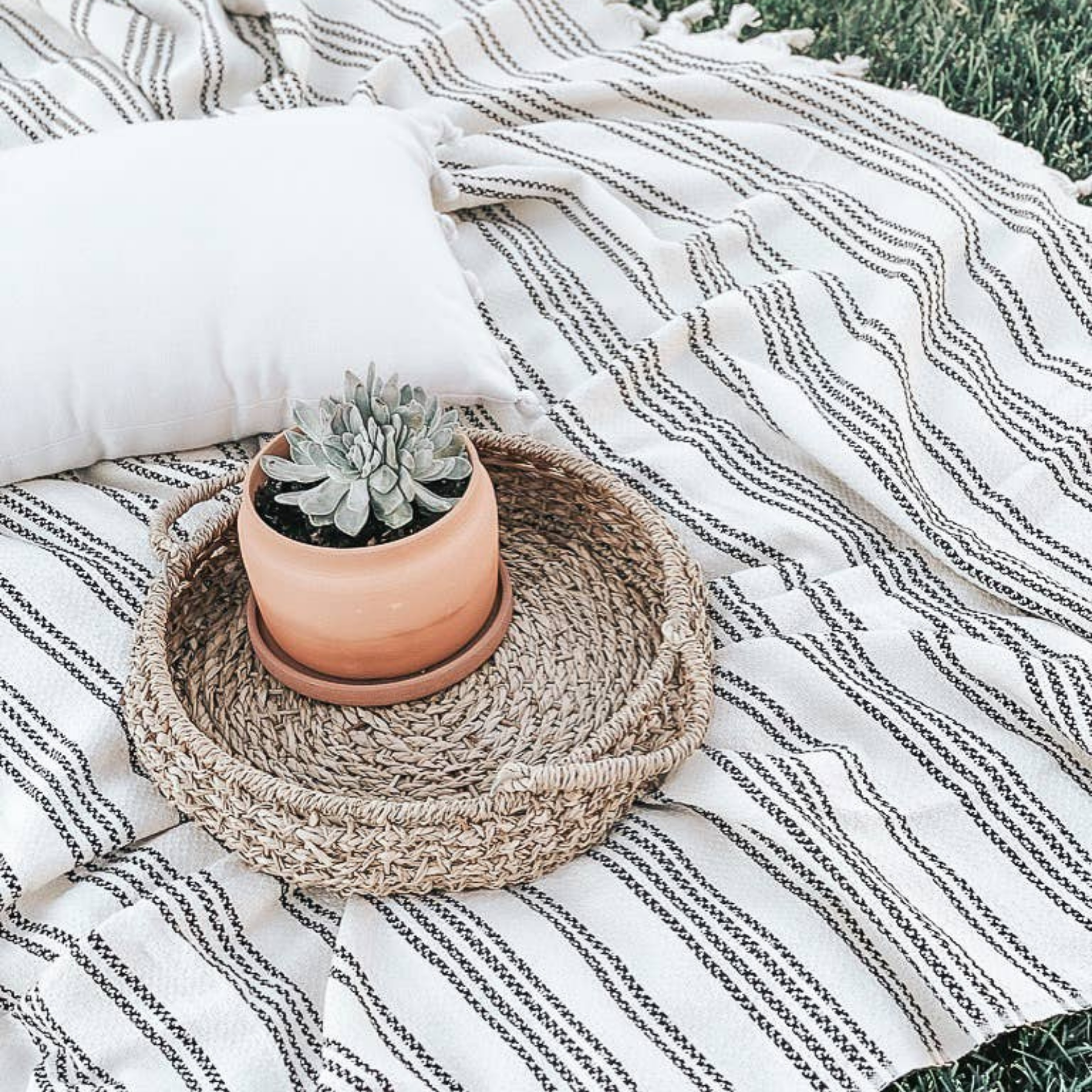 Picnic best sale throw blanket
